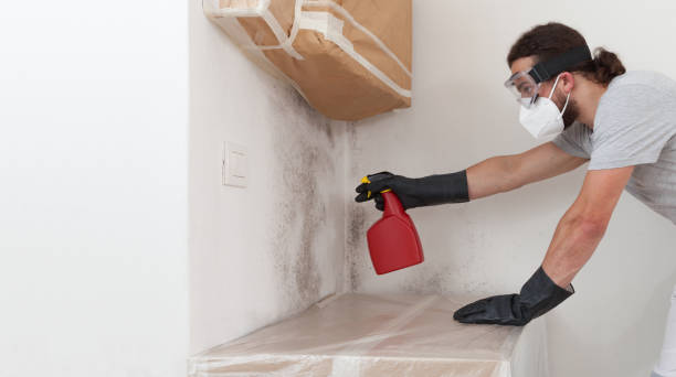 Professional Black Mold Remediation technician working in McClure, PA