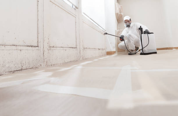 24/7 Emergency Black Mold Remediation experts in McClure, PA