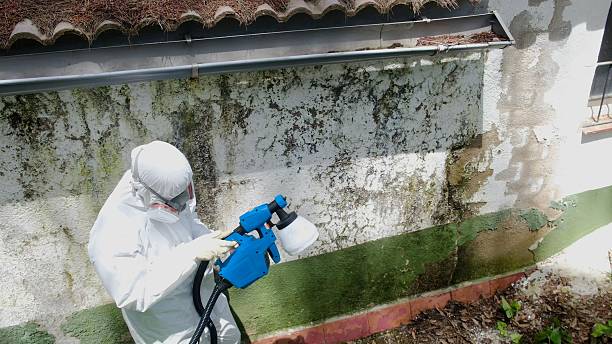 Top rated local Black Mold Remediation specialists in McClure, PA